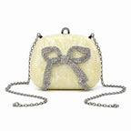 Delacroix Bow Chain Mini Bag