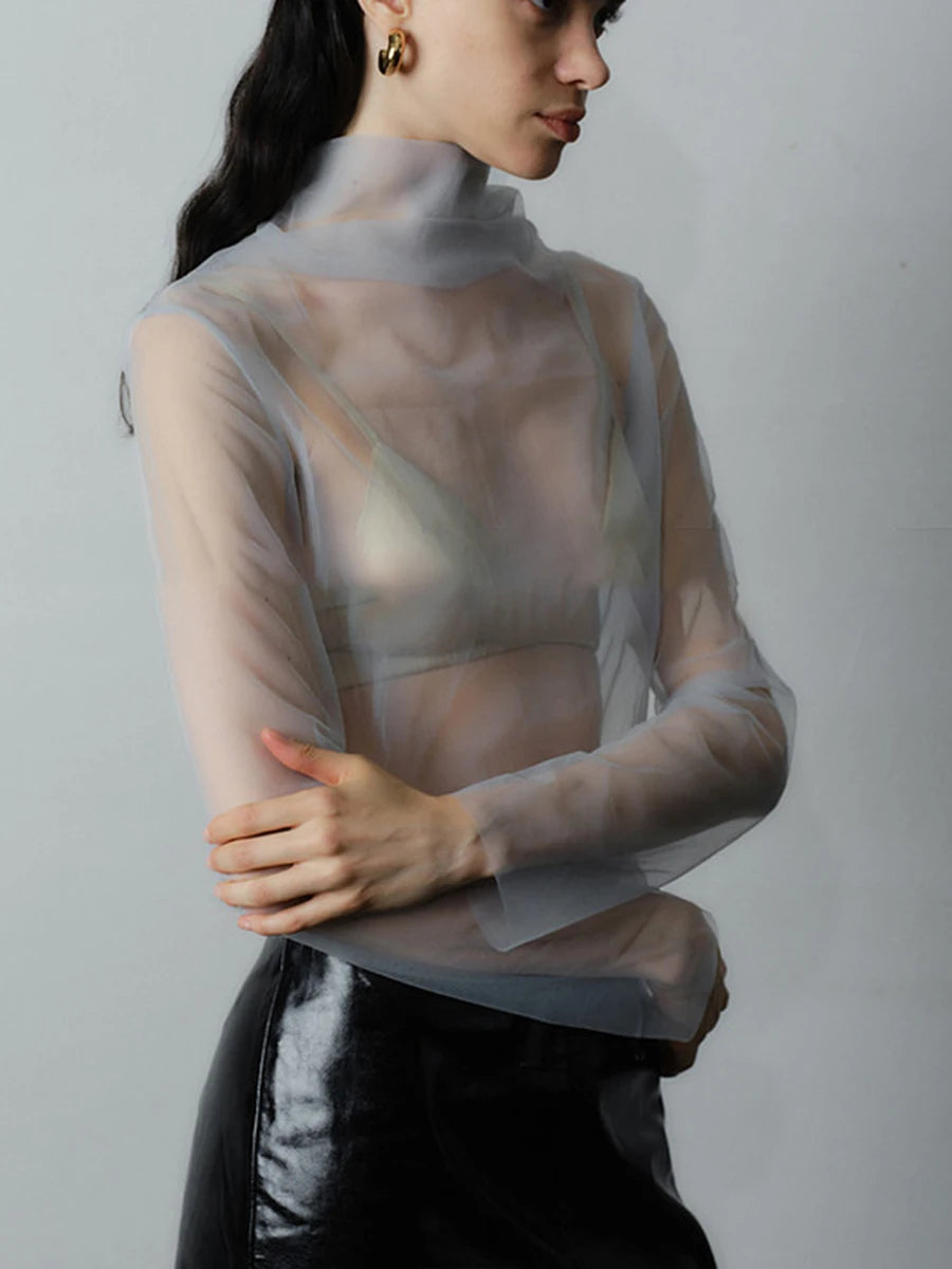 Averie Sheer Mesh Turtleneck Blouse