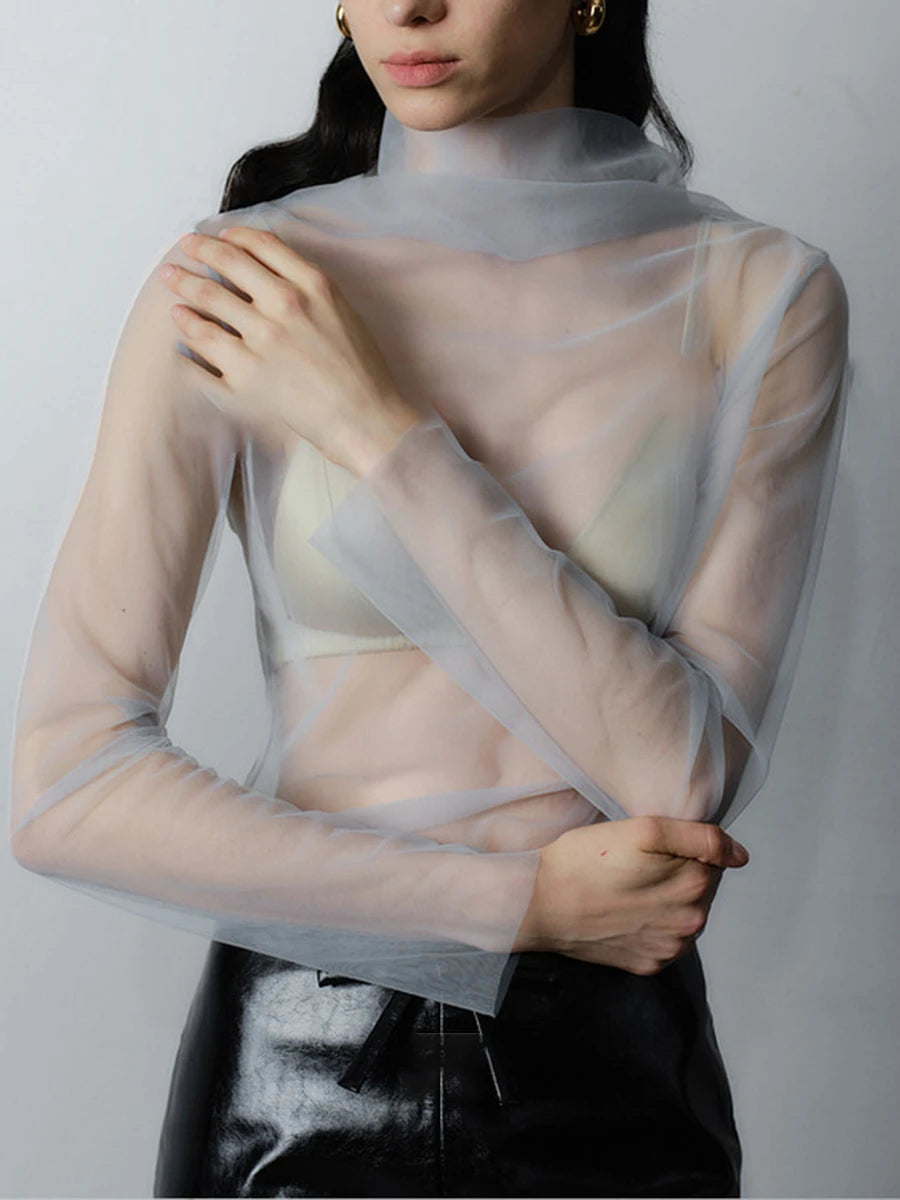 Averie Sheer Mesh Turtleneck Blouse